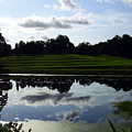 Middleton Place II